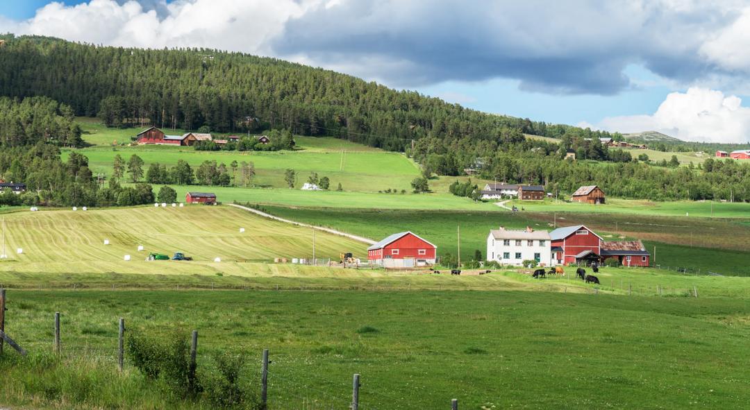 Bilde av gård