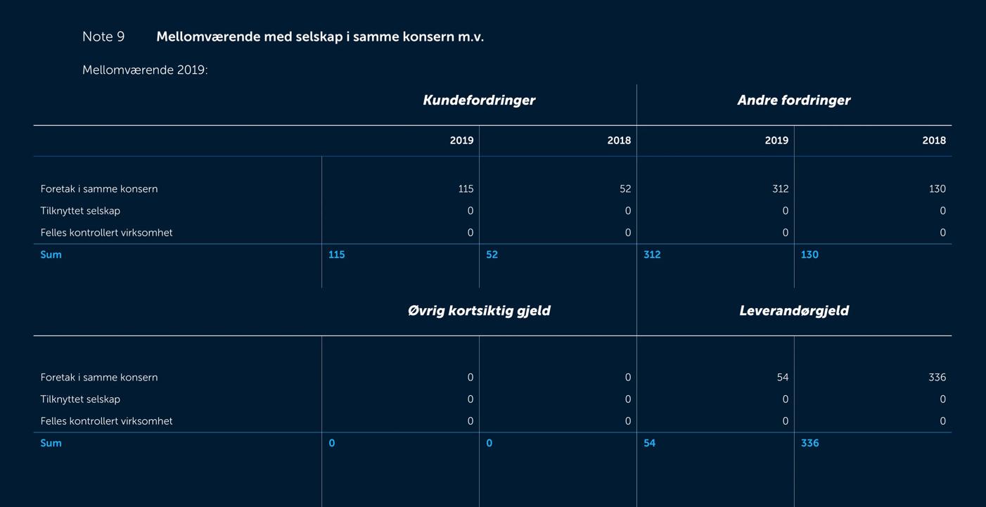 Skjermbilde av noter fra årsregnskapet 2019