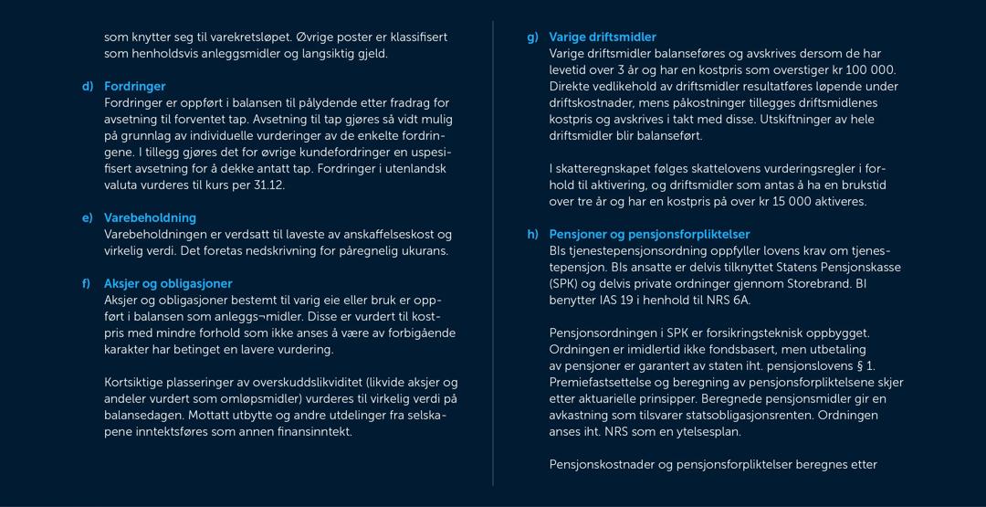 Skjermbilde av noter fra årsregnskapet 2019