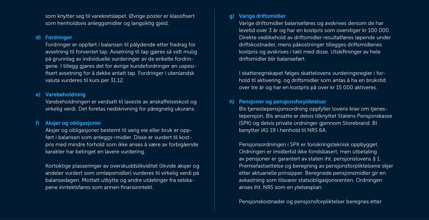 Skjermbilde av noter fra årsregnskapet 2019