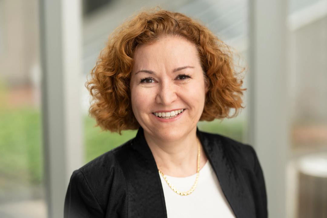 Anne Bourhis (advisor)