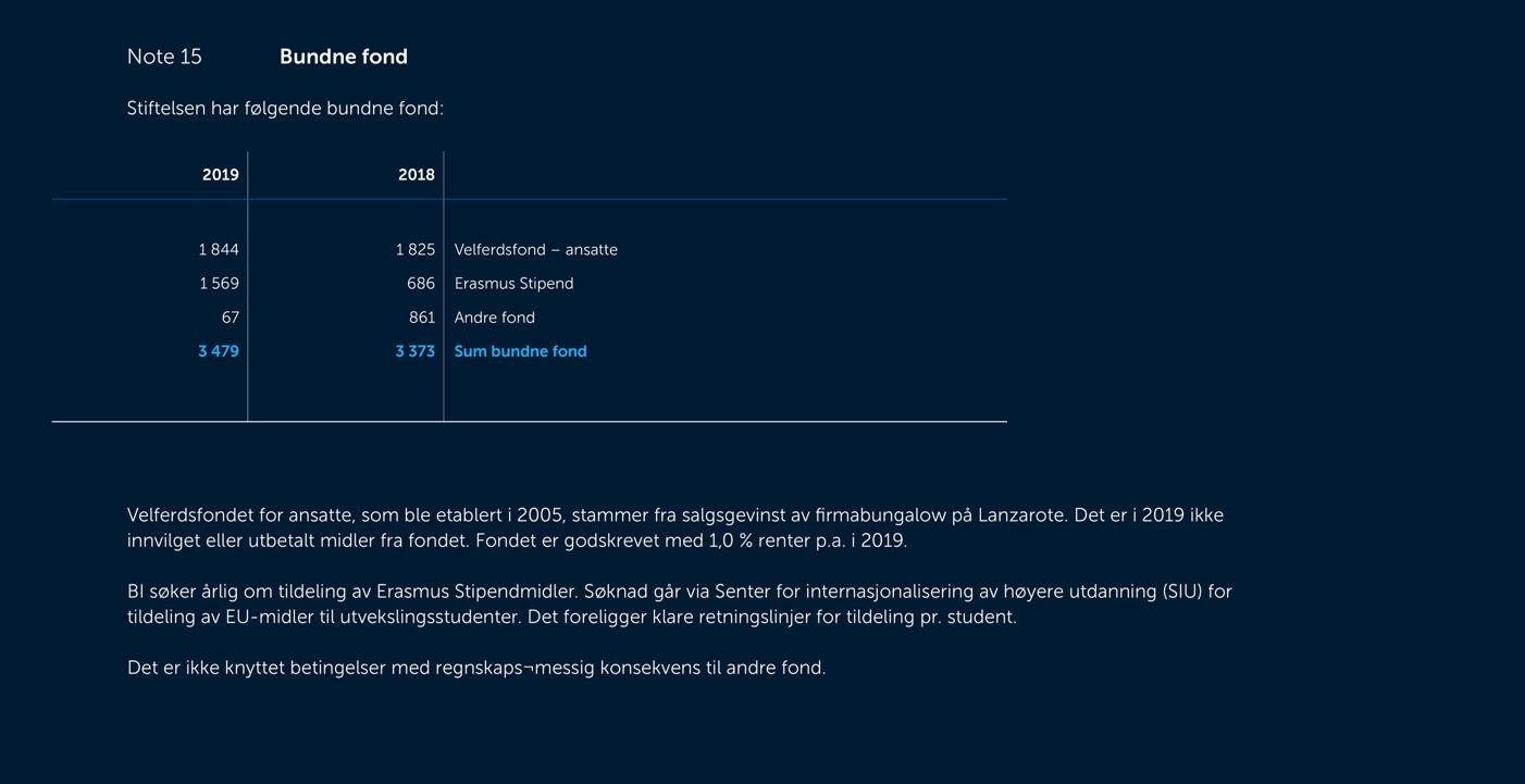 Skjermbilde av noter fra årsregnskapet 2019