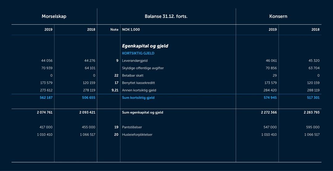 Skjermbilde av balanseresultatet for 2019