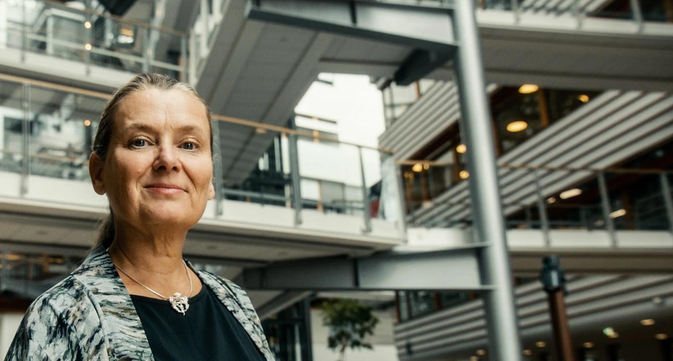 En gruppe som jobber sammen