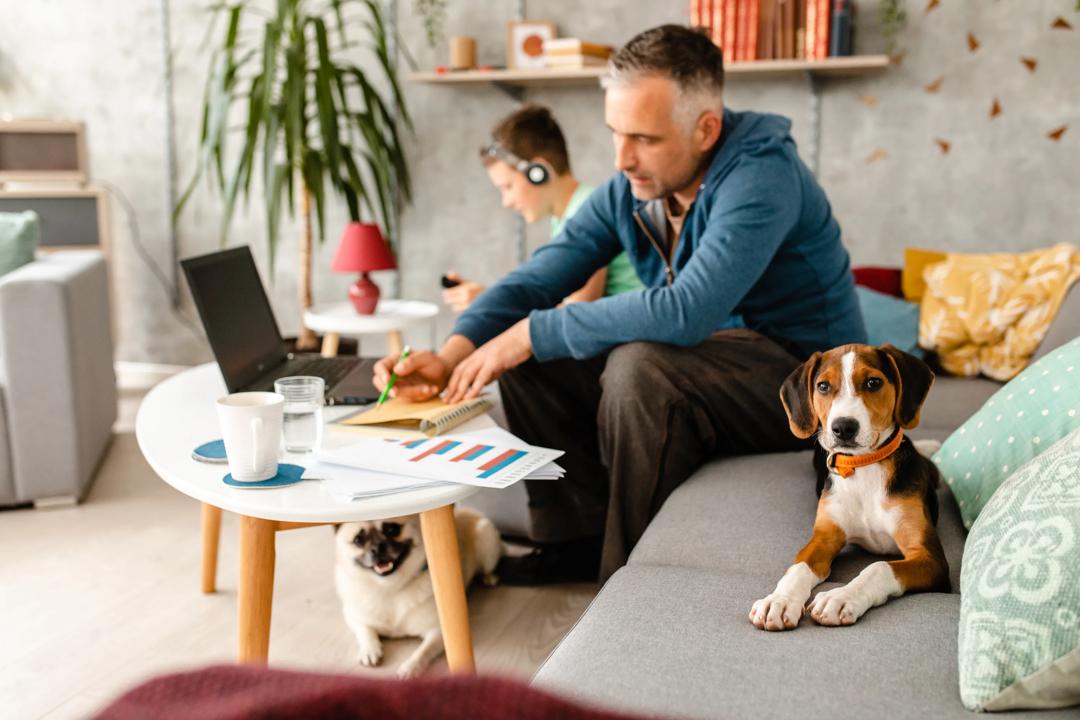 Bilde av mann og en hund på hjemmekontor