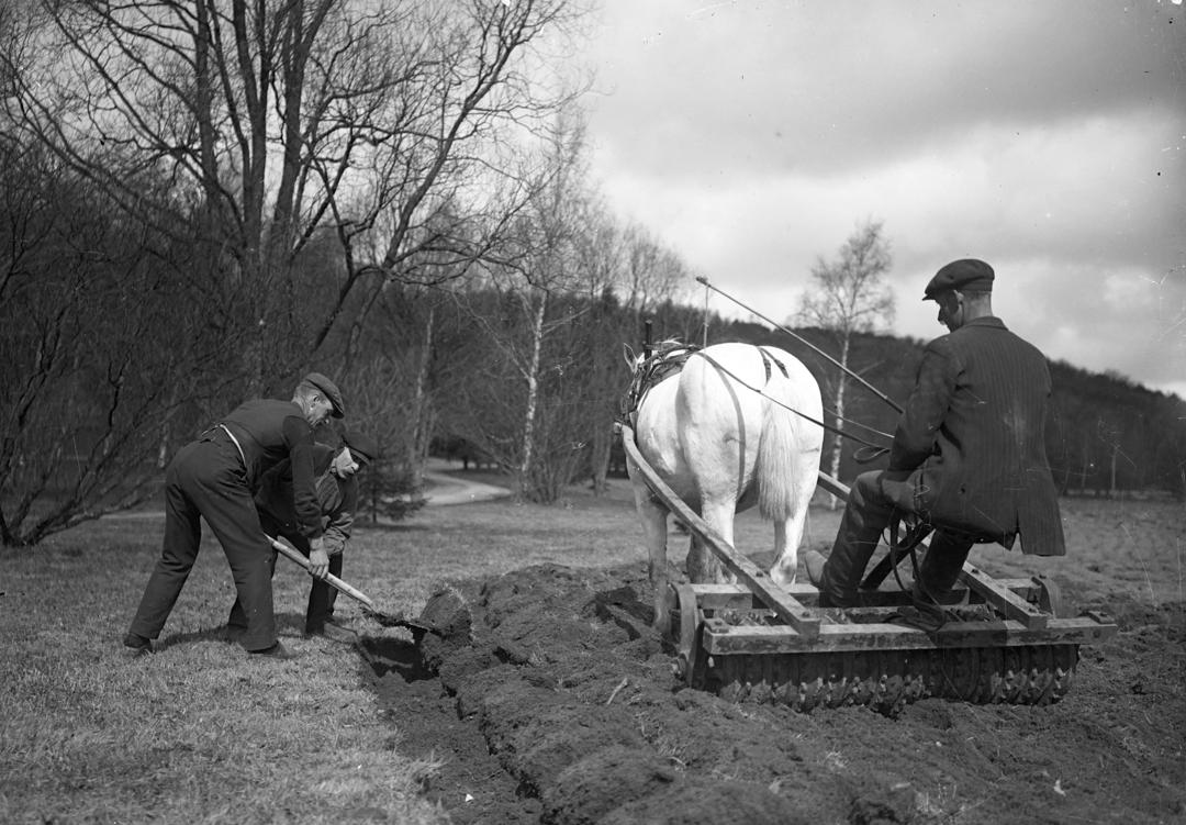 I løpet av 1918 ville Norge være helt avhengig av kornleveranser for å unngå hungersnød. Her fra et gårdsbruk i 1917. (Foto: Kamerareportage/TT).