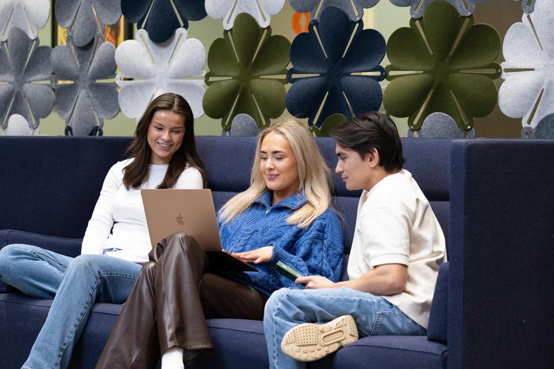 Group of students sitting