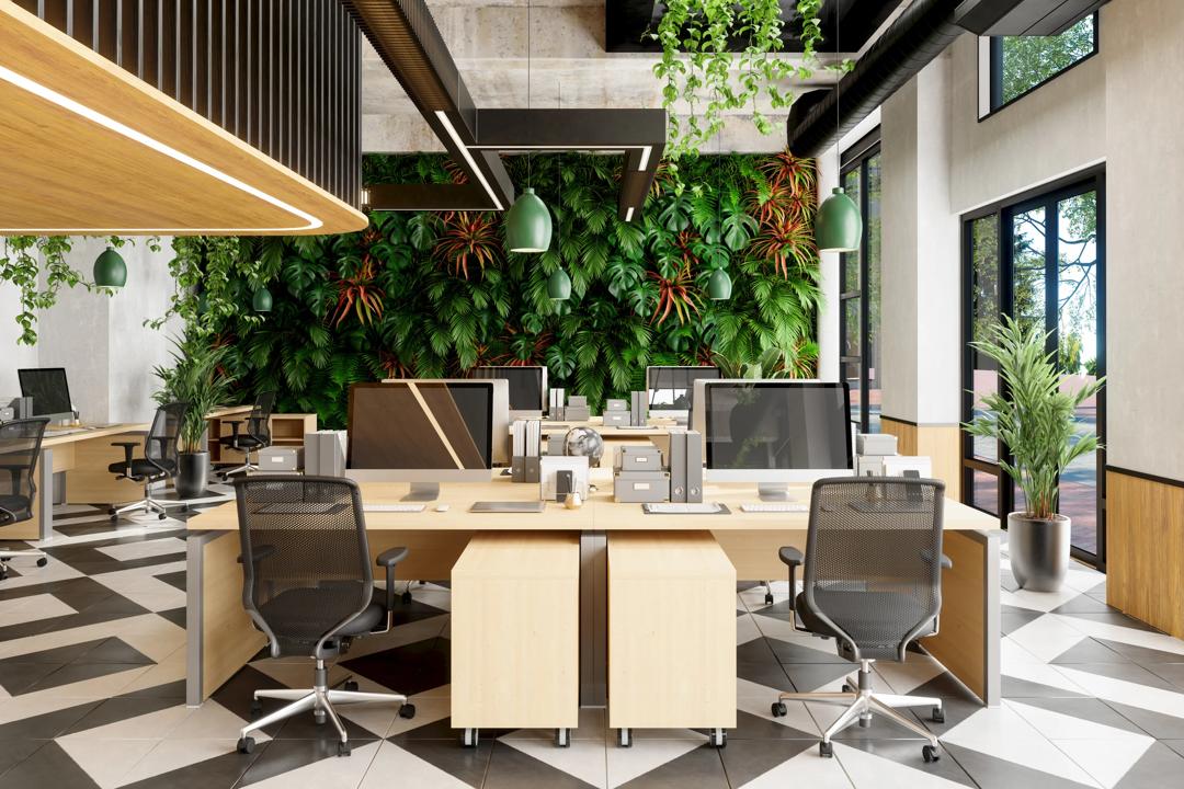 Office space with green plants