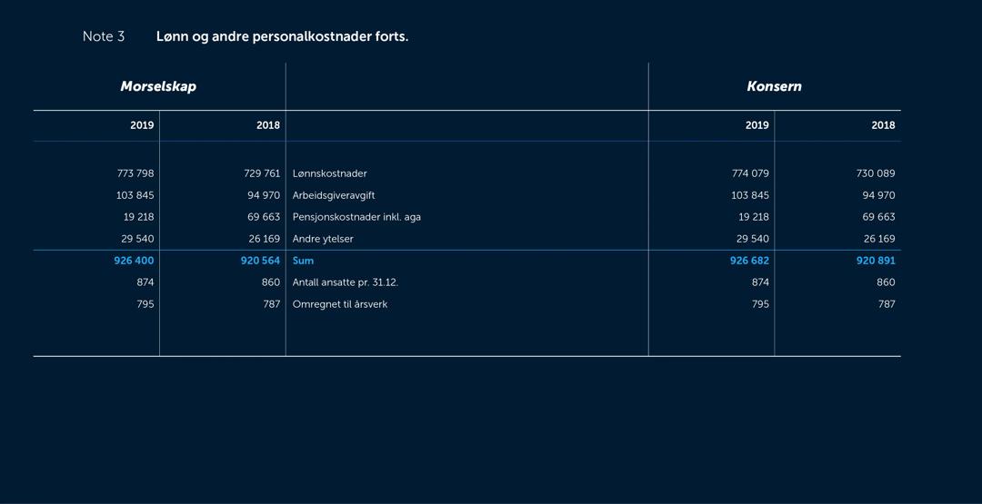 Skjermbilde av noter fra årsregnskapet 2019