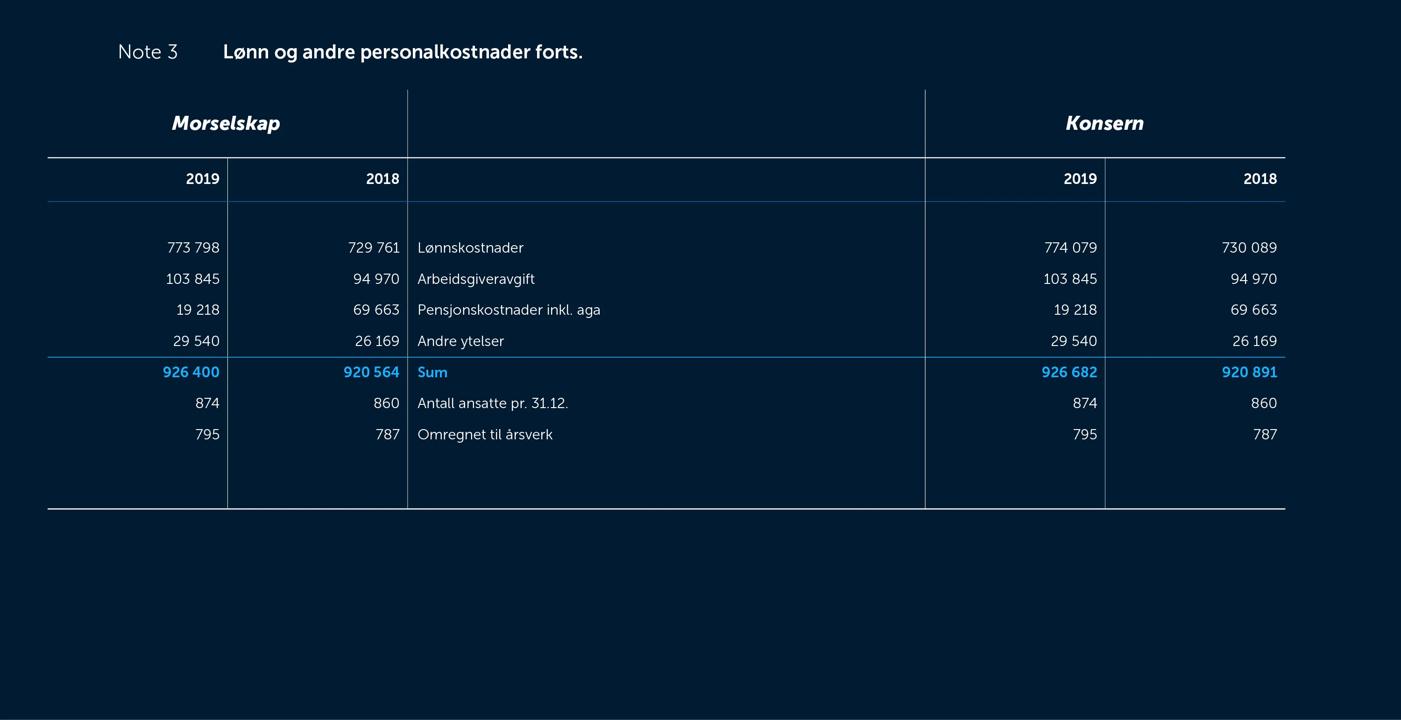 Skjermbilde av noter fra årsregnskapet 2019