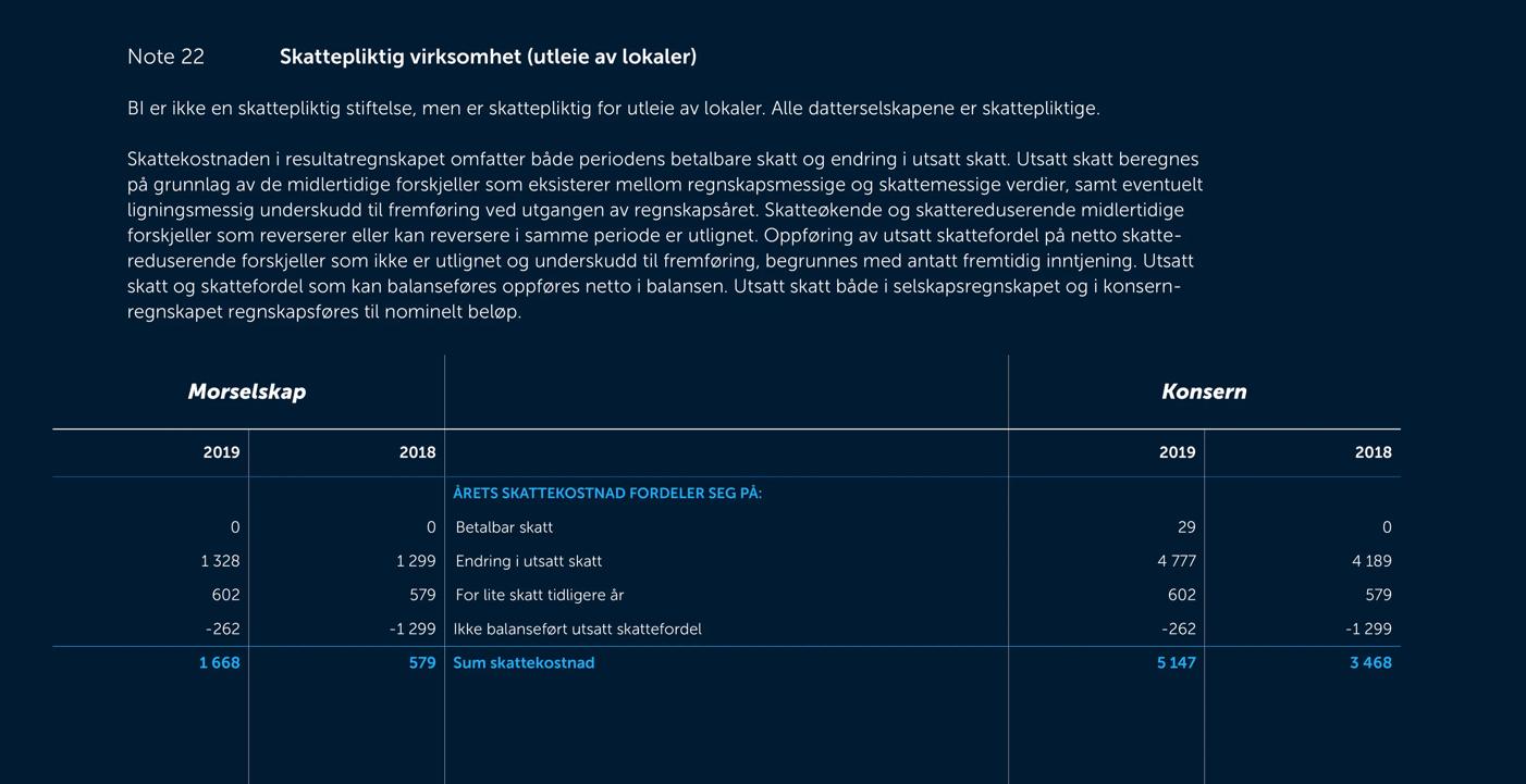 Skjermbilde av noter fra årsregnskapet 2019