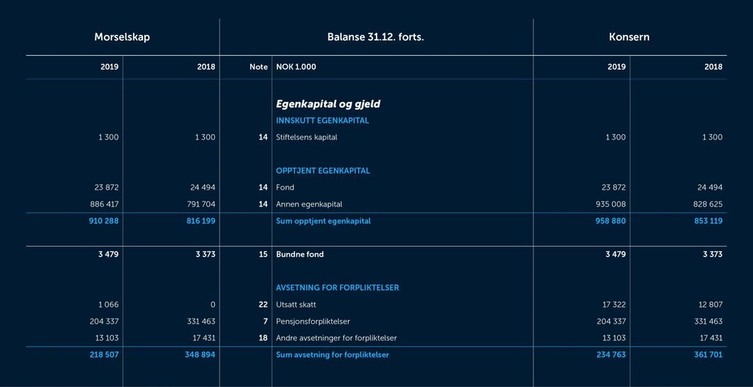 Skjermbilde av balanseregnskapet fra 2019
