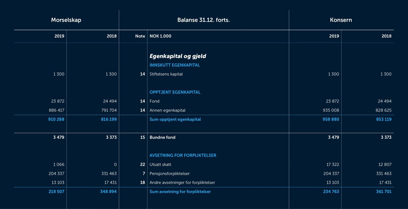 Skjermbilde av balanseregnskapet fra 2019