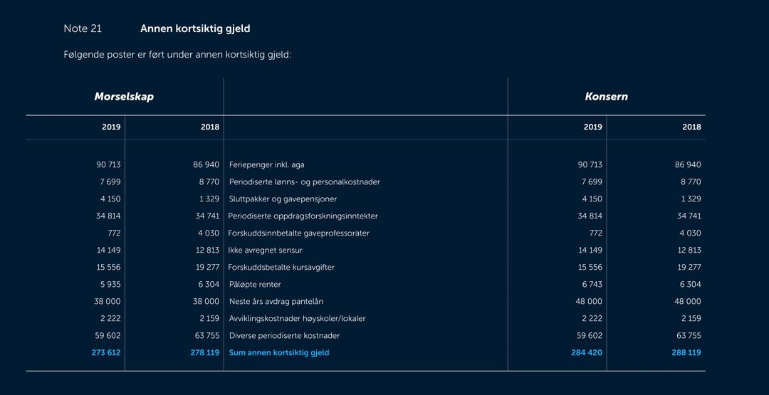 Skjermbilde av noter fra årsregnskapet 2019