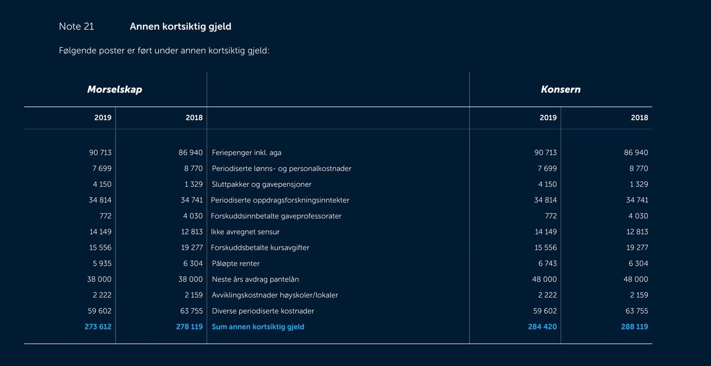 Skjermbilde av noter fra årsregnskapet 2019