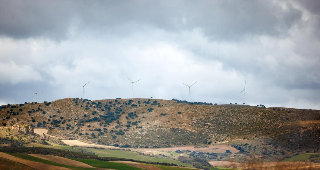 Overview of a wind farm