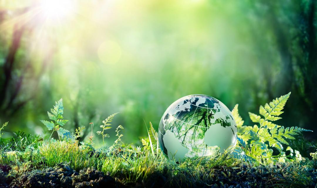 Green Globe On Moss, environmental Concept