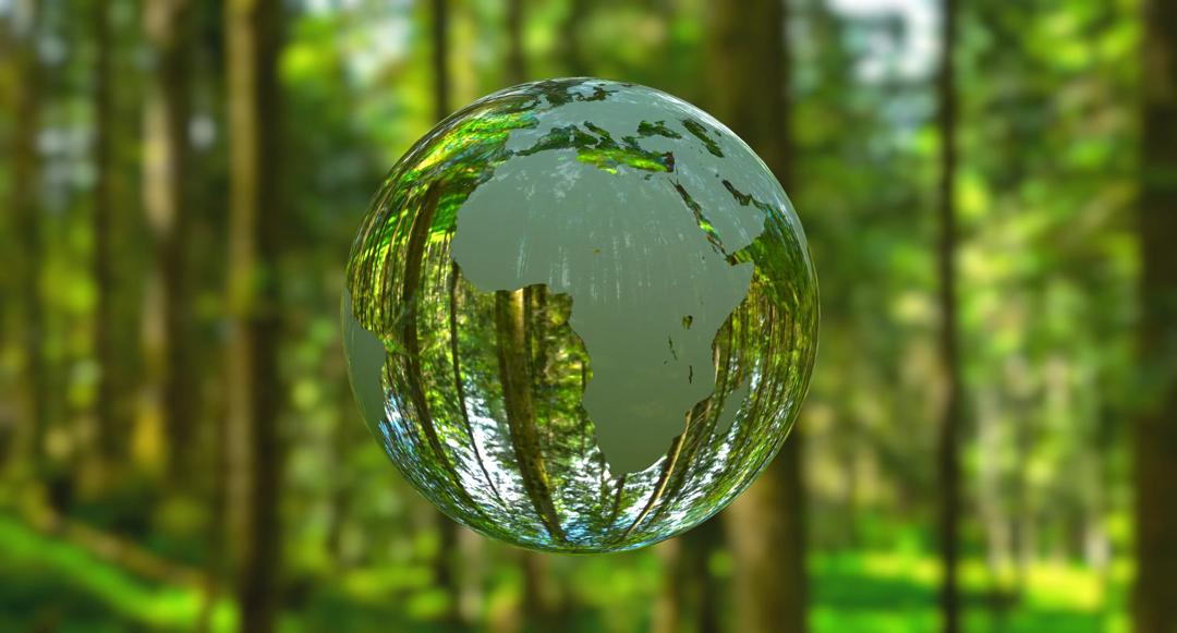 Water drop in front of trees