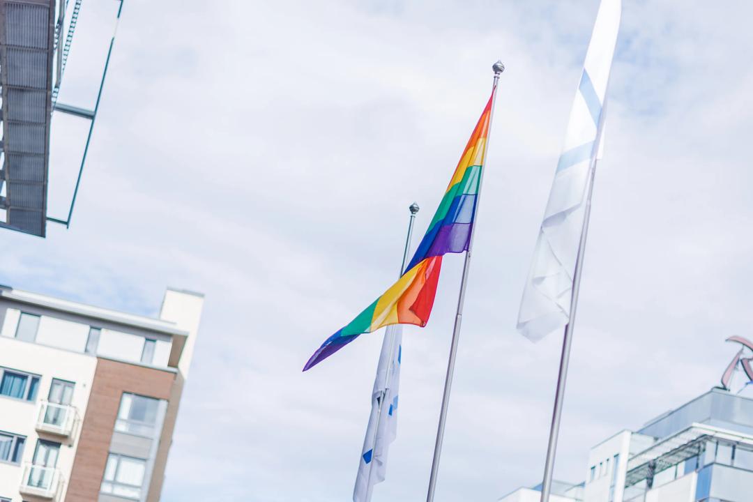 Image of the Pride flag