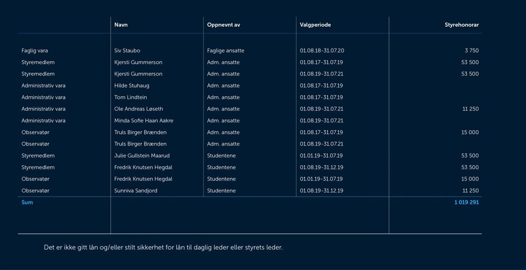 Skjermbilde av noter fra årsregnskapet 2019