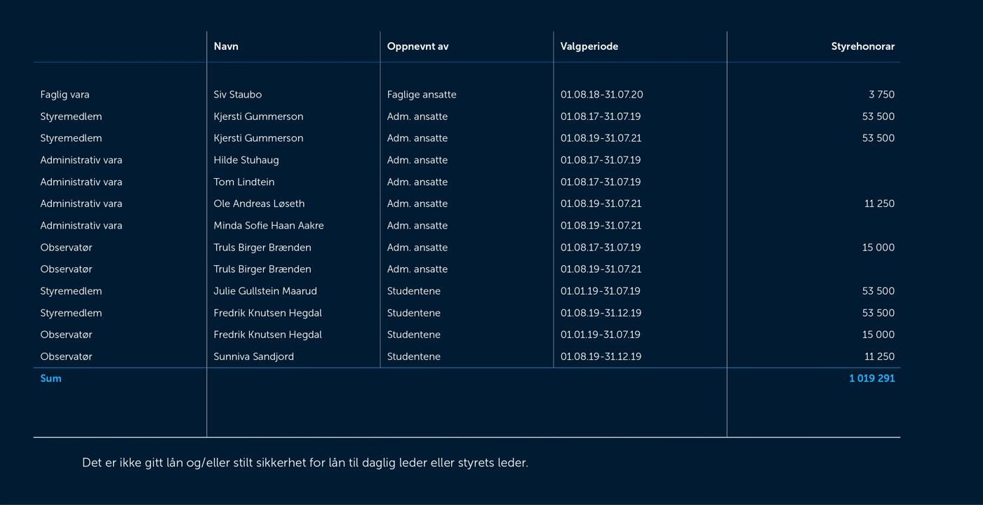 Skjermbilde av noter fra årsregnskapet 2019