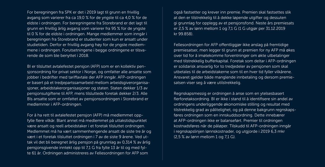 Skjermbilde av noter fra årsregnskapet 2019