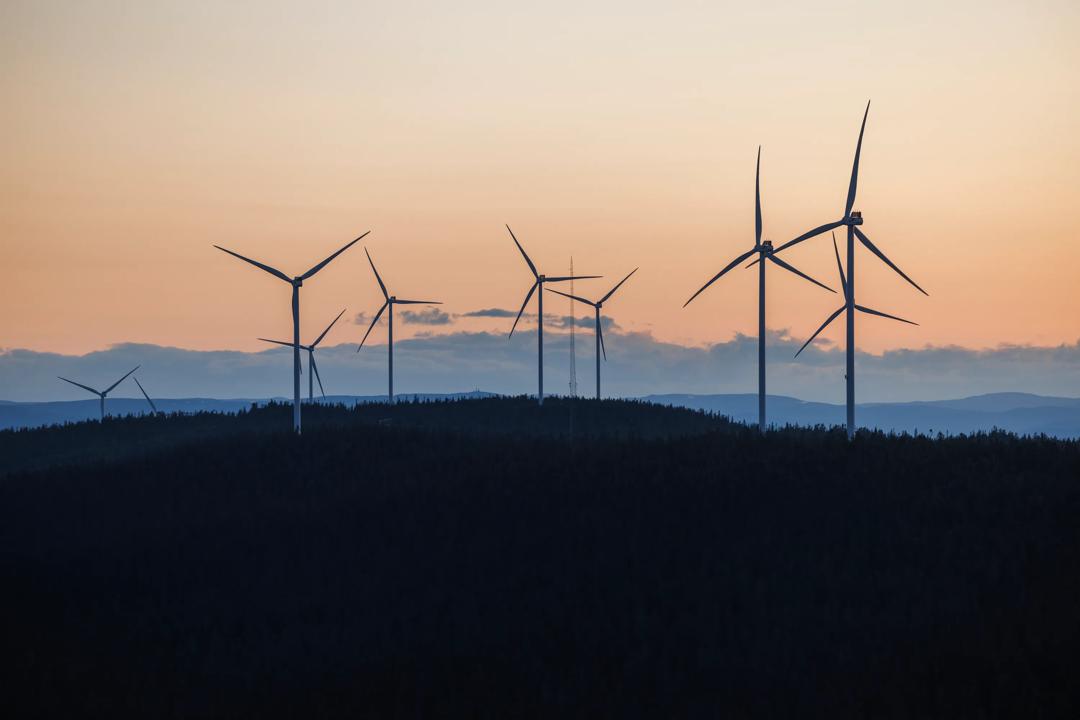 image of windmills