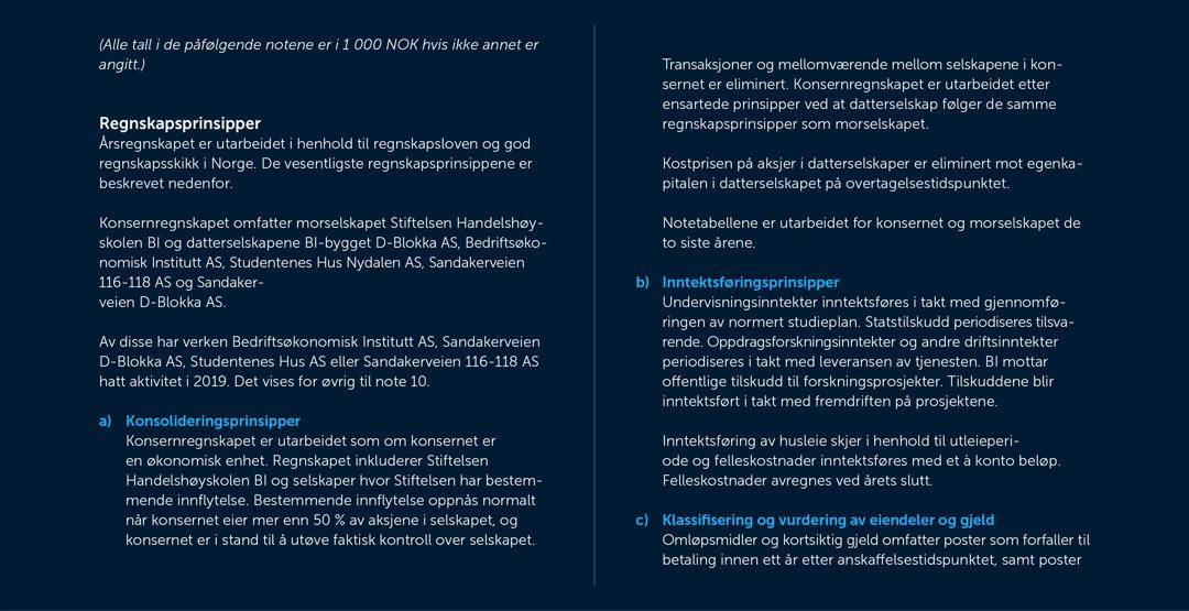 Skjermbilde av noter fra årsregnskapet 2019