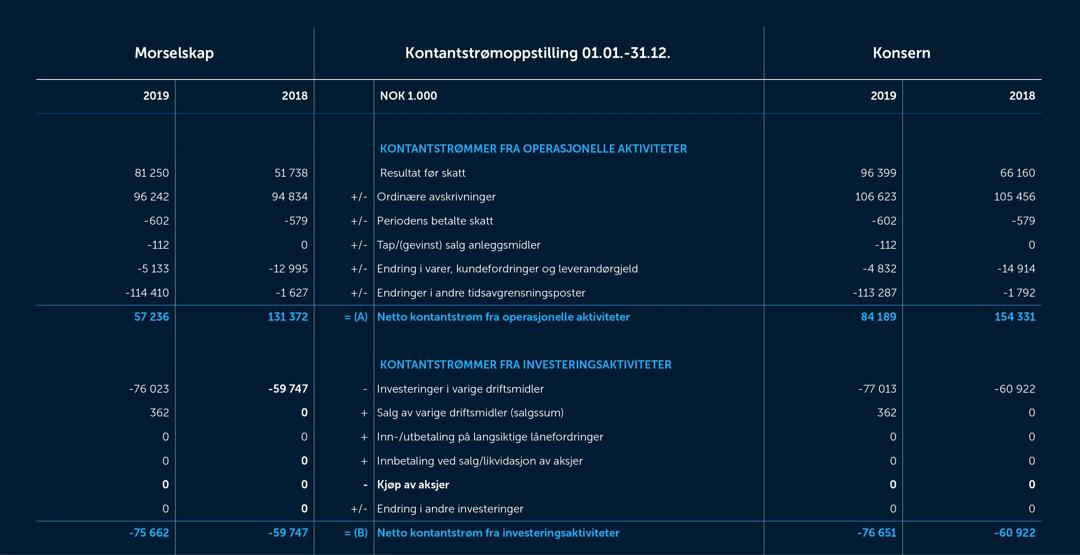 Skjermbilde av kontanstrømmen fra 2019