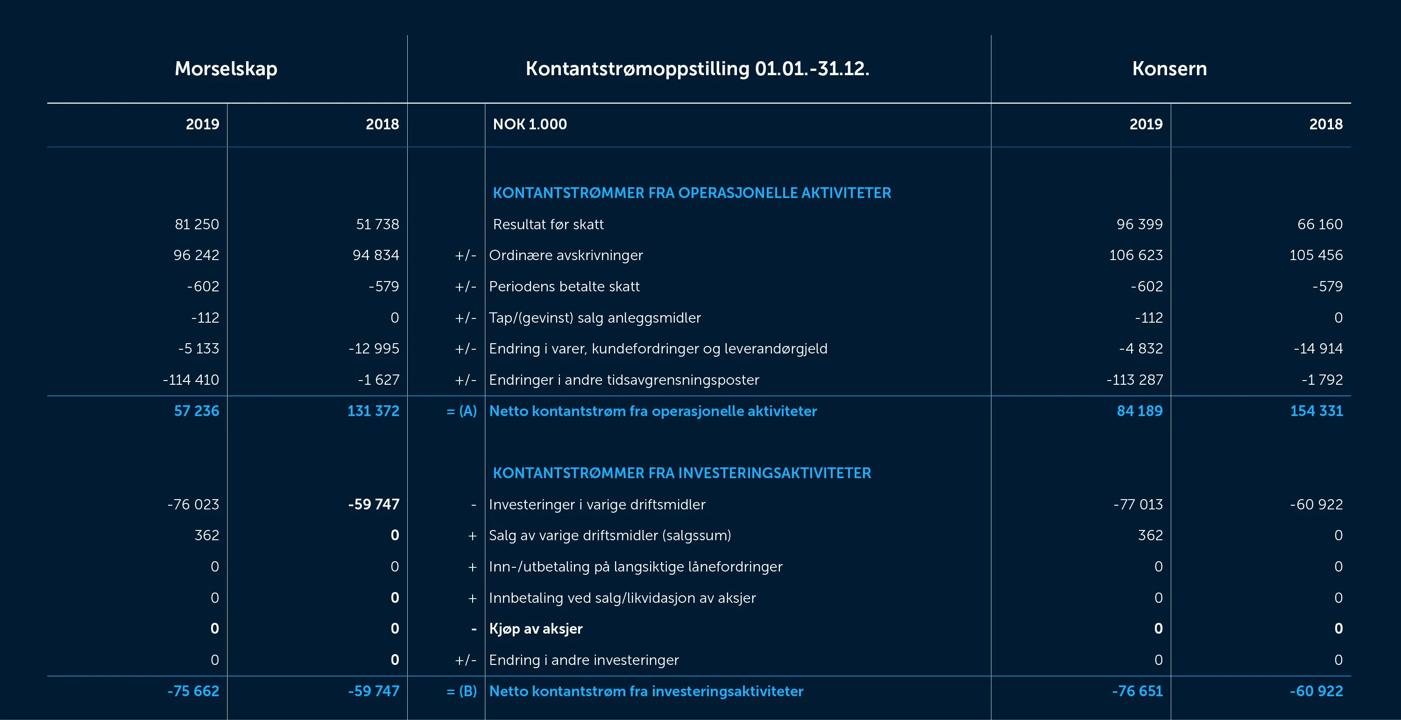 Skjermbilde av kontanstrømmen fra 2019