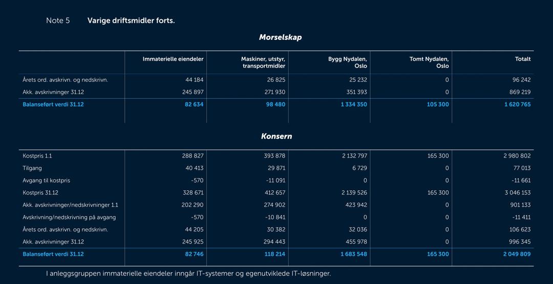 Skjermbilde av noter fra årsregnskapet 2019