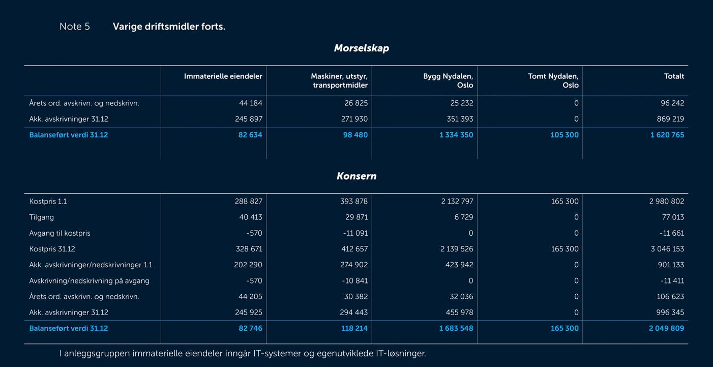 Skjermbilde av noter fra årsregnskapet 2019