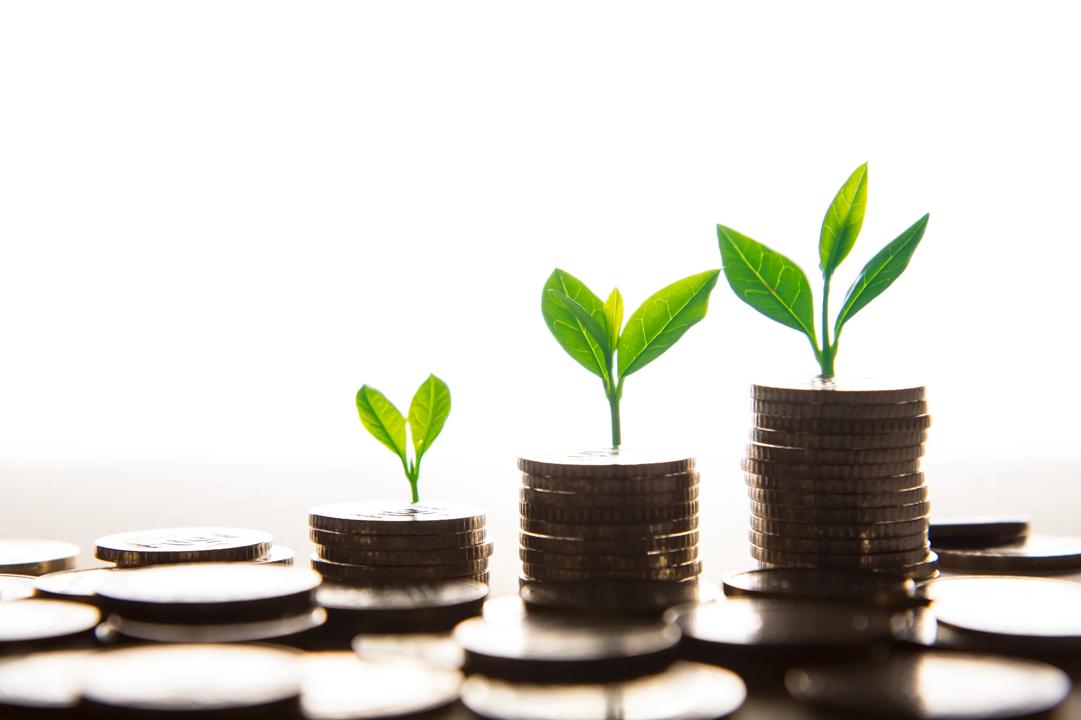 Planter vokser opp fra mynter