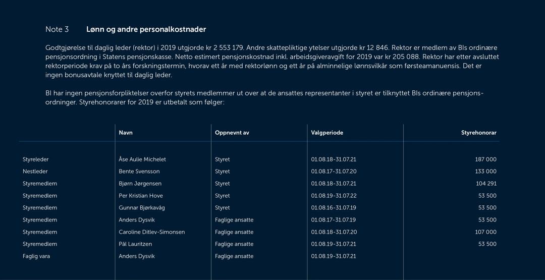 Skjermbilde av noter fra årsregnskapet 2019