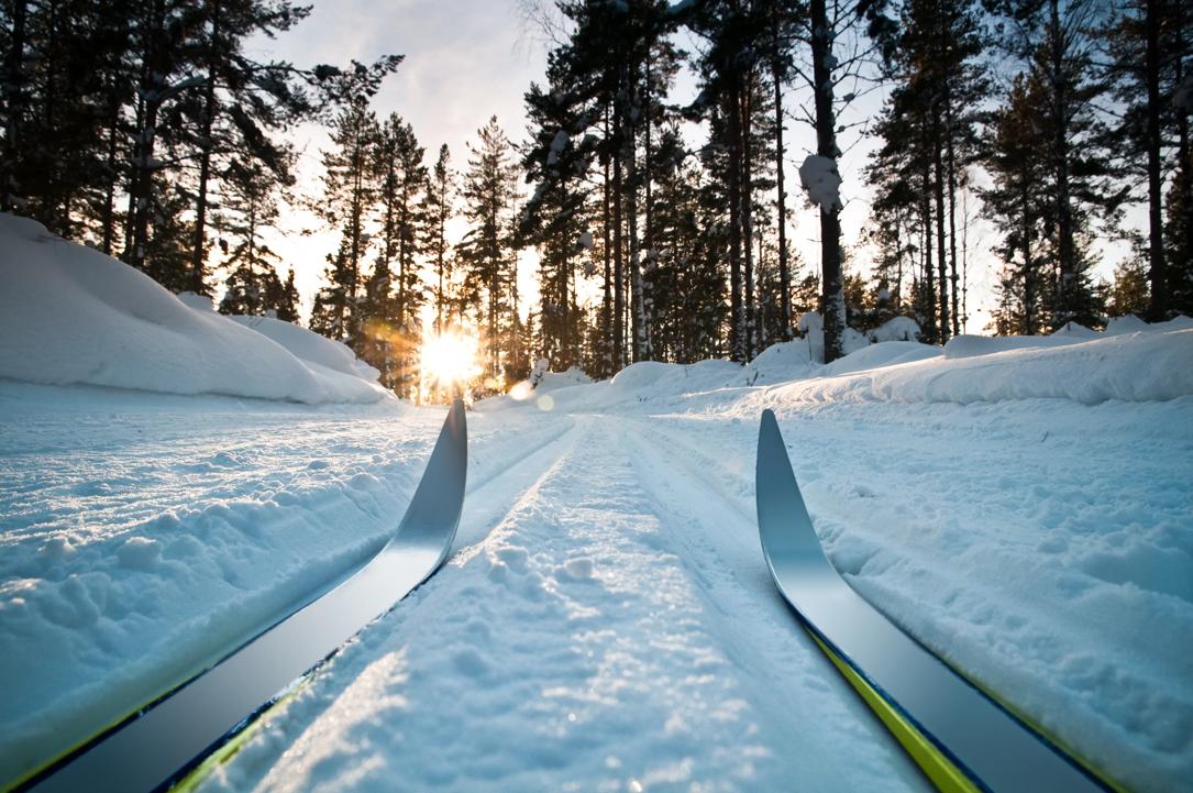 langrennski i skispor