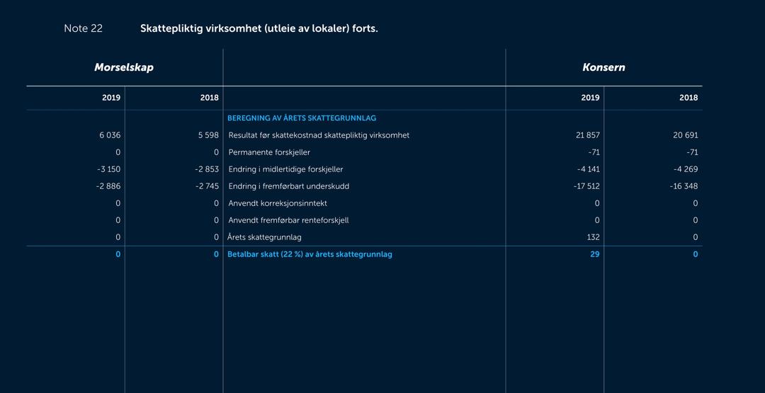 Skjermbilde av noter fra årsregnskapet 2019