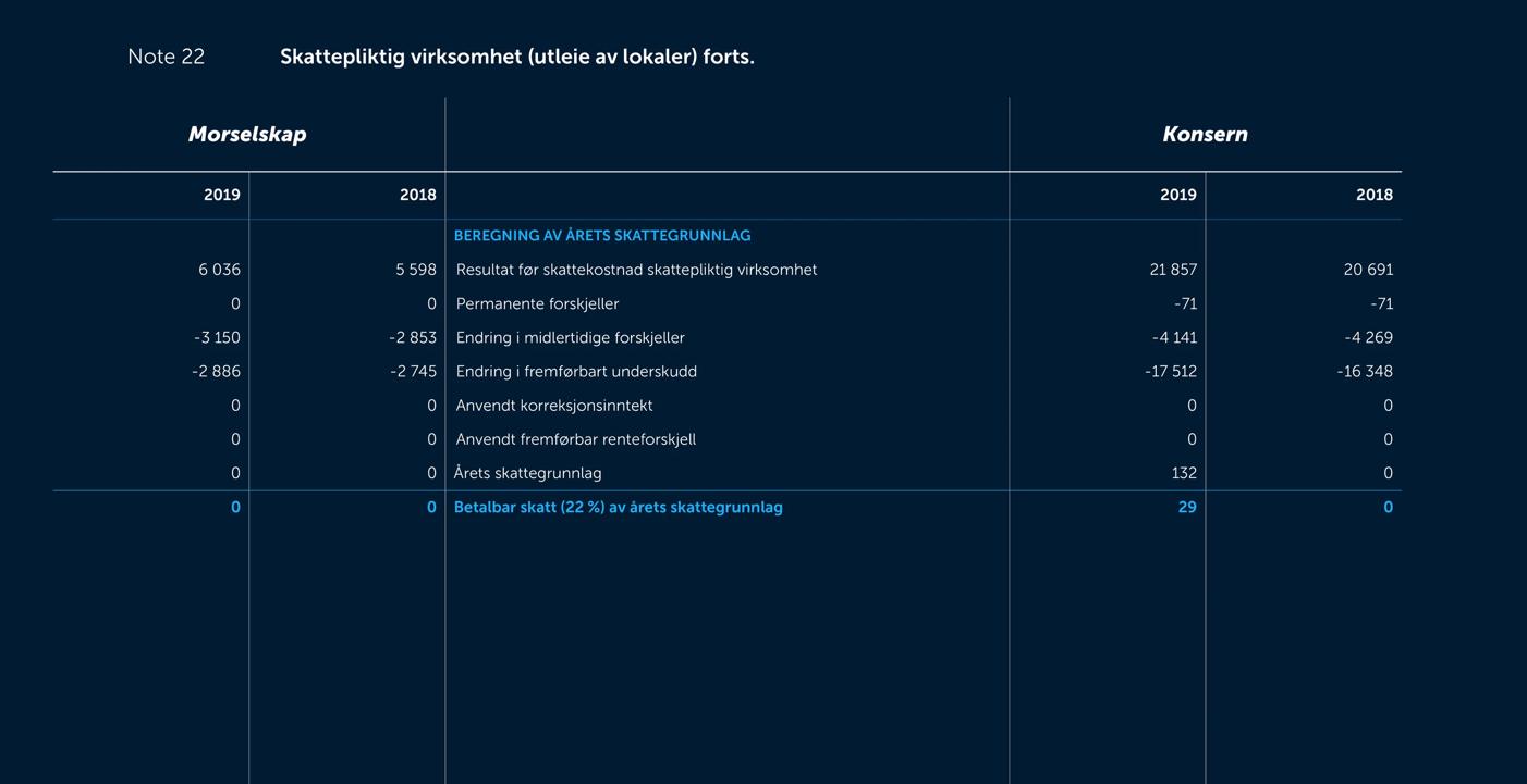 Skjermbilde av noter fra årsregnskapet 2019