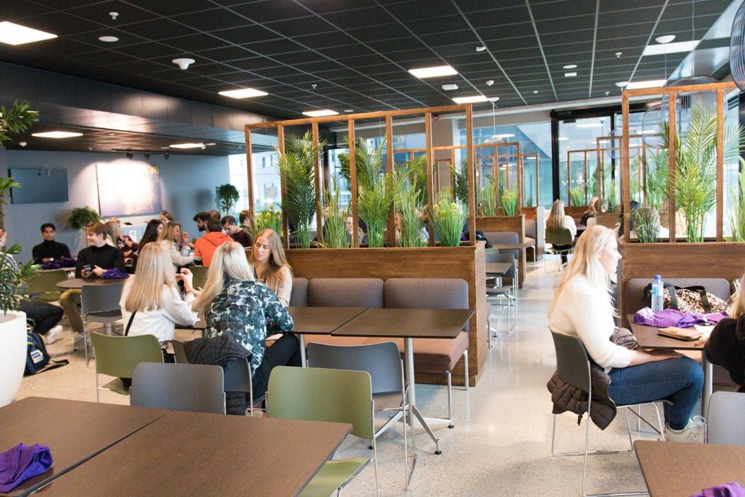 Studiestart Stavanger  2