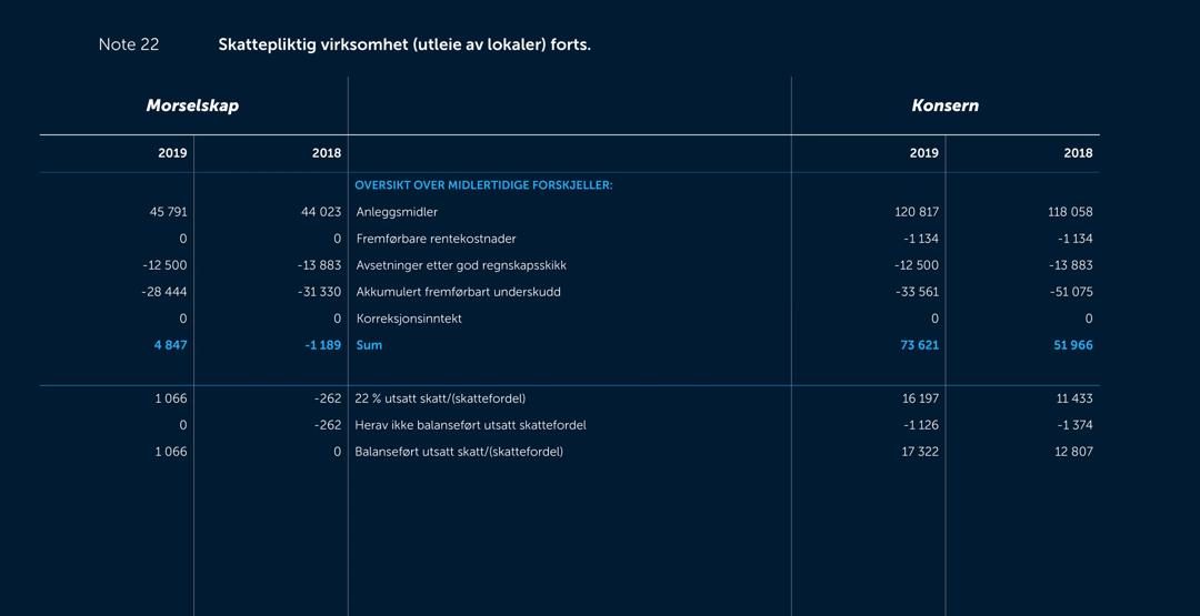 Skjermbilde av noter fra årsregnskapet 2019