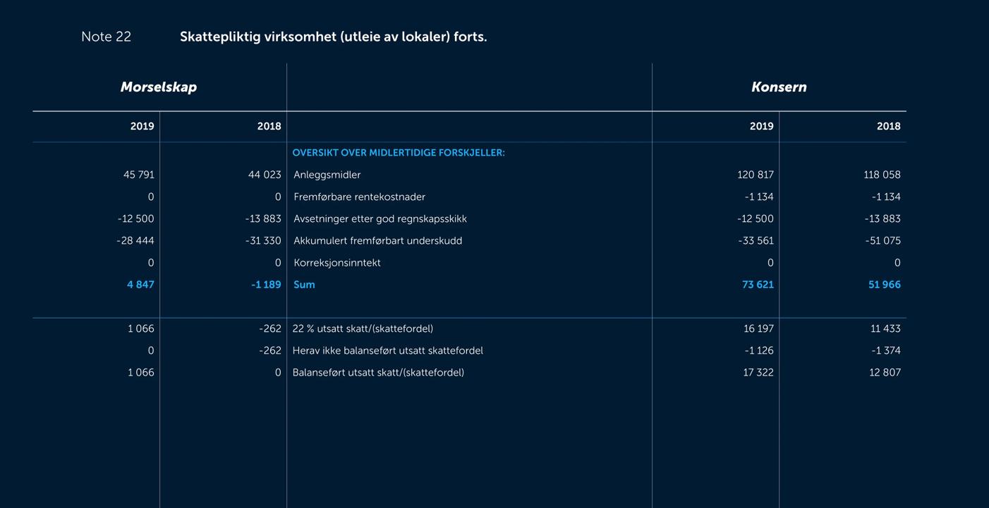 Skjermbilde av noter fra årsregnskapet 2019