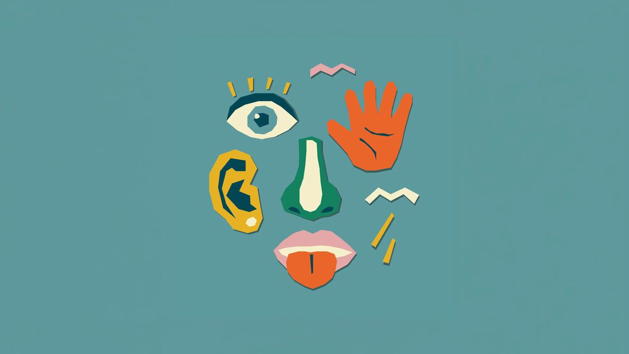 Illustration of different senses