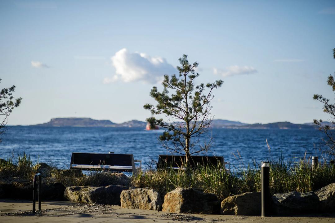 Bilde av sjøen ved campus Stavanger