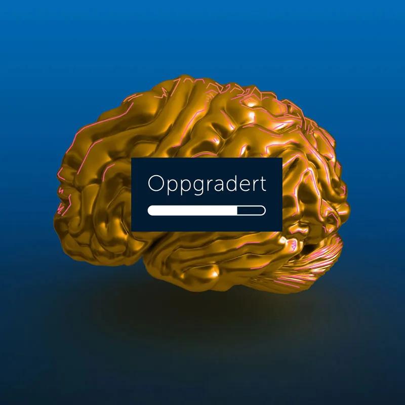 Oppgradert logo