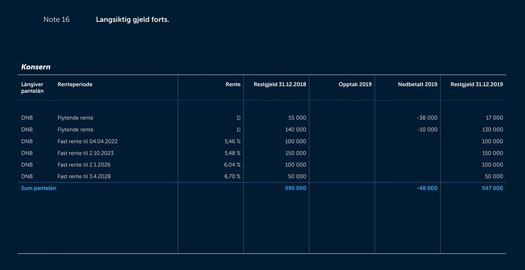 Skjermbilde av noter fra årsregnskapet 2019