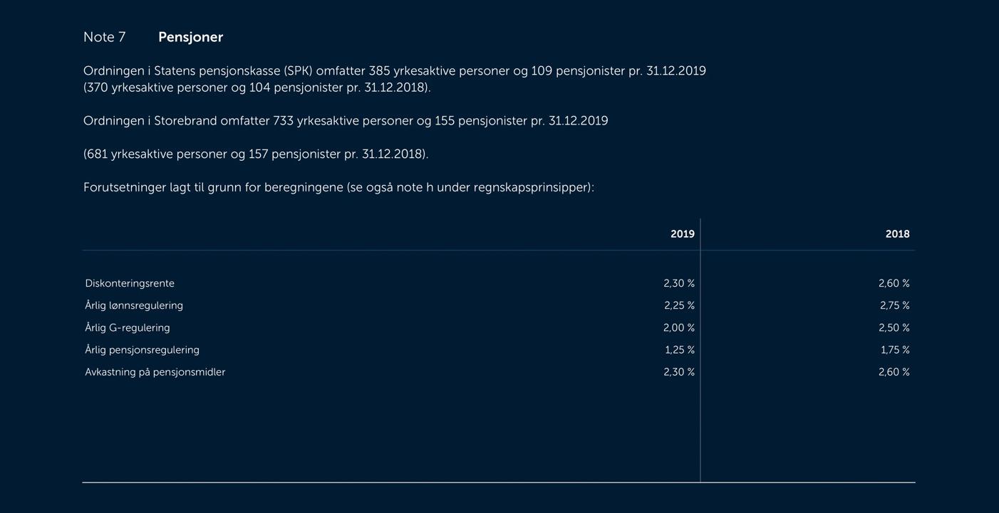 Skjermbilde av noter fra årsregnskapet 2019