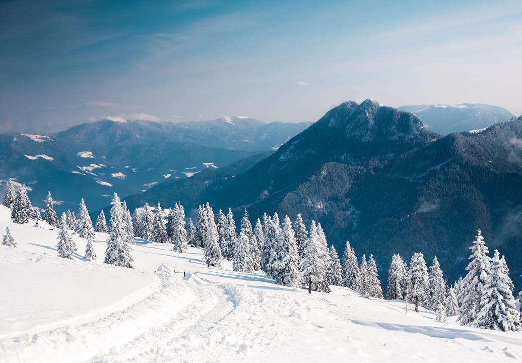 Mountain in the winter
