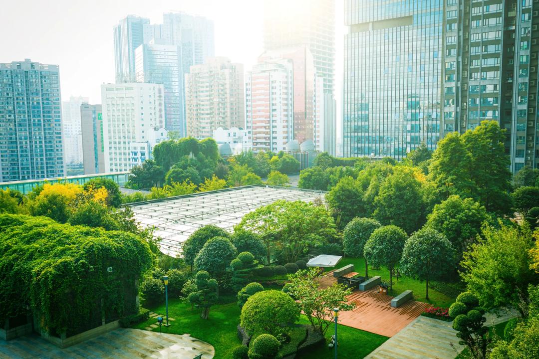 A building surrounded by nature