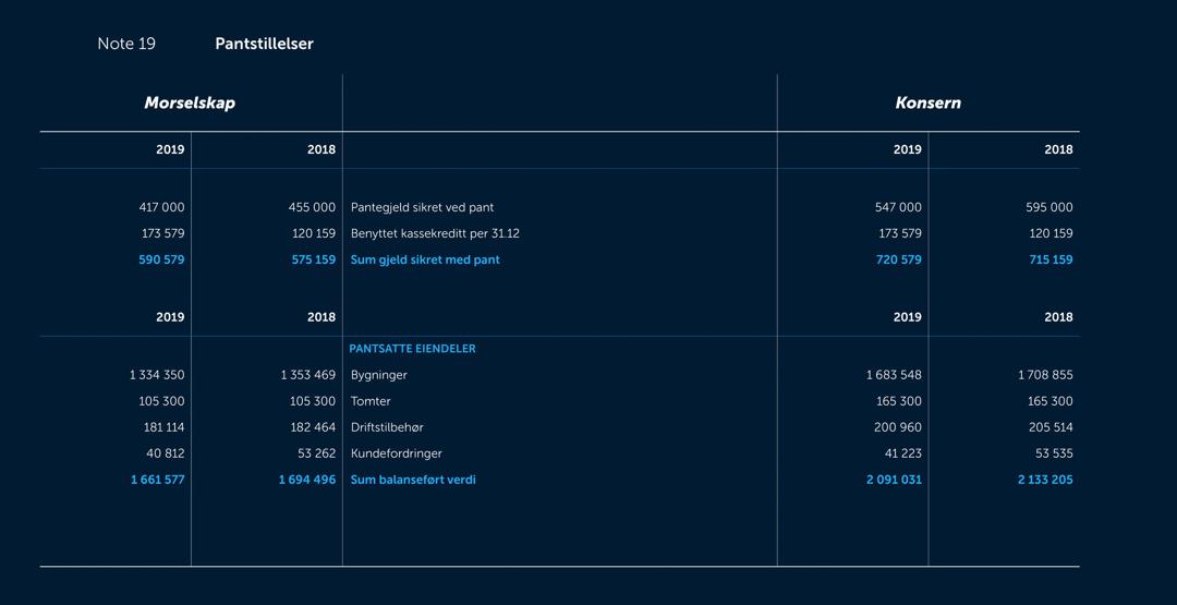 Skjermbilde av noter fra årsregnskapet 2019