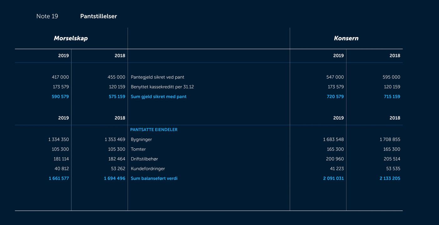 Skjermbilde av noter fra årsregnskapet 2019