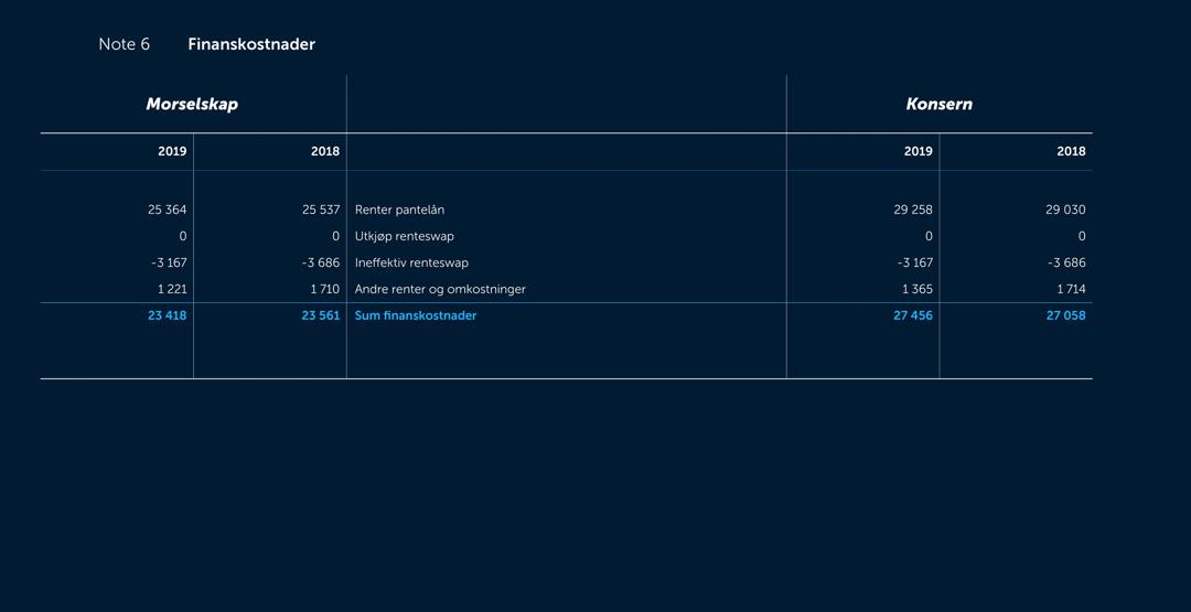 Skjermbilde av noter fra årsregnskapet 2019